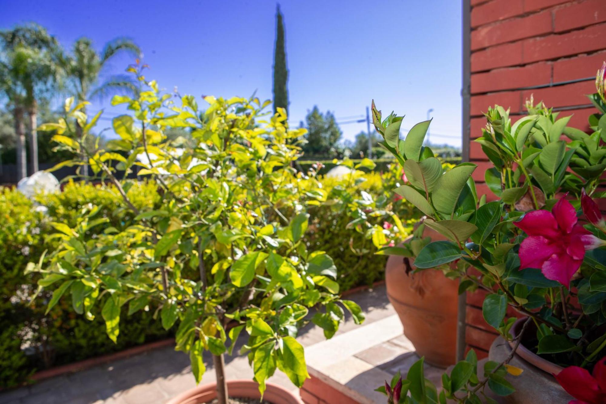 Relais Villa Italia Selcetta ภายนอก รูปภาพ