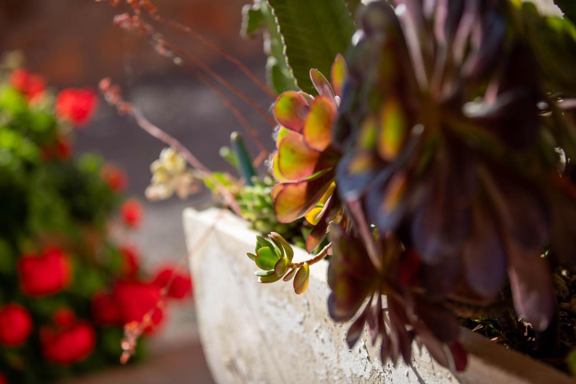 Relais Villa Italia Selcetta ภายนอก รูปภาพ